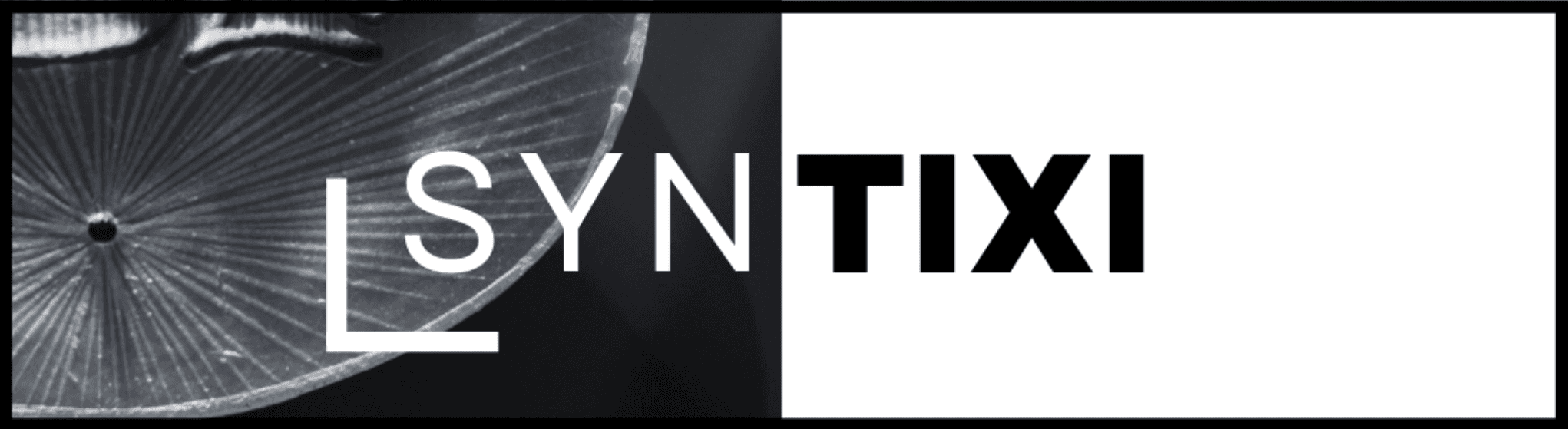 Syntixi Logo